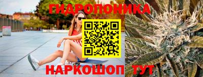 ECSTASY Заволжье