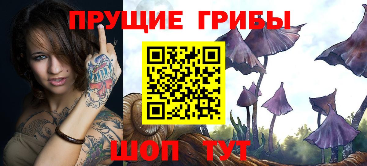 Псилоцибиновые грибы MAGIC MUSHROOMS Арзамас
